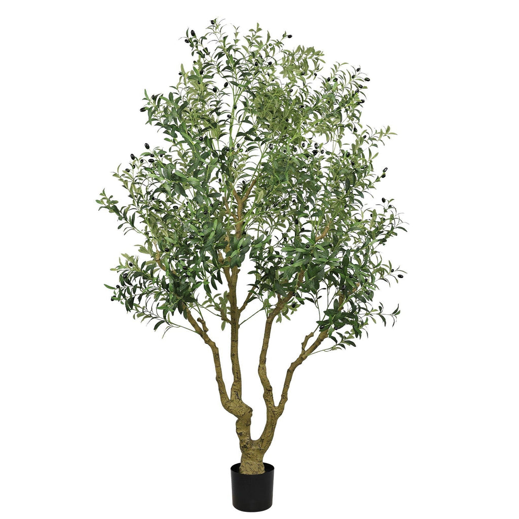Verdant Olive Tree With Natural Trunk Green 8.2 Feet Tall