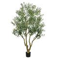 Verdant Olive Tree With Natural Trunk Green 8.2 Feet Tall