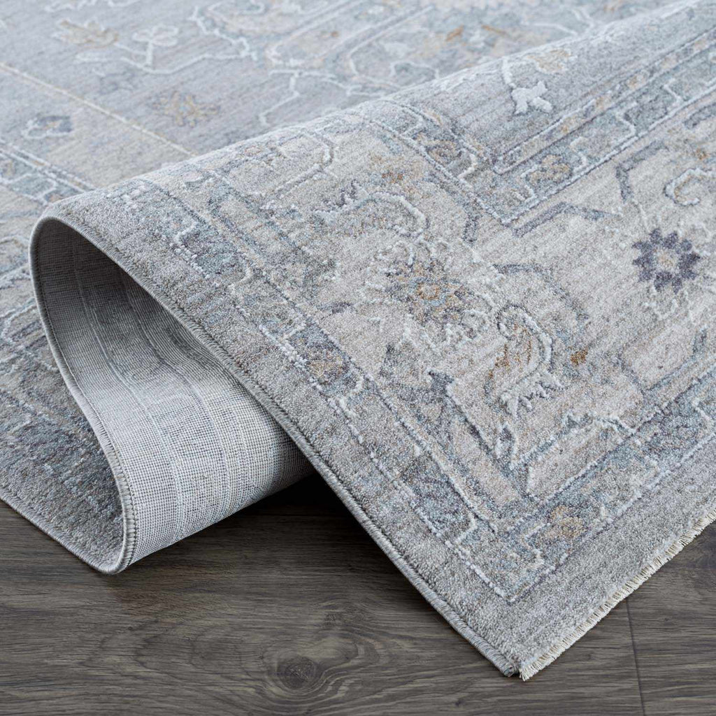 Earlsfield Thick Luxe Traditional Pattern Area Rug Gray Blue