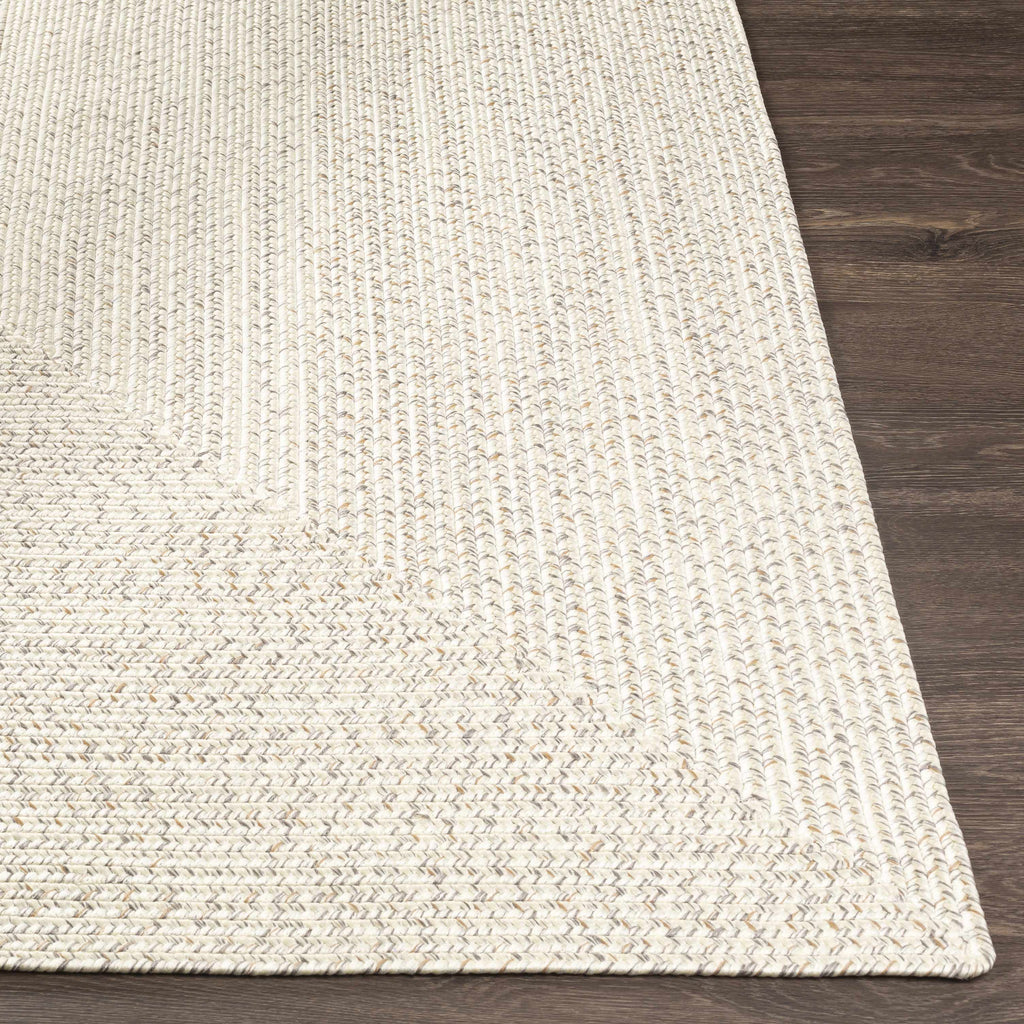 Bargo Beige Braided Faux Jute Weather Resistant Outdoor Rug