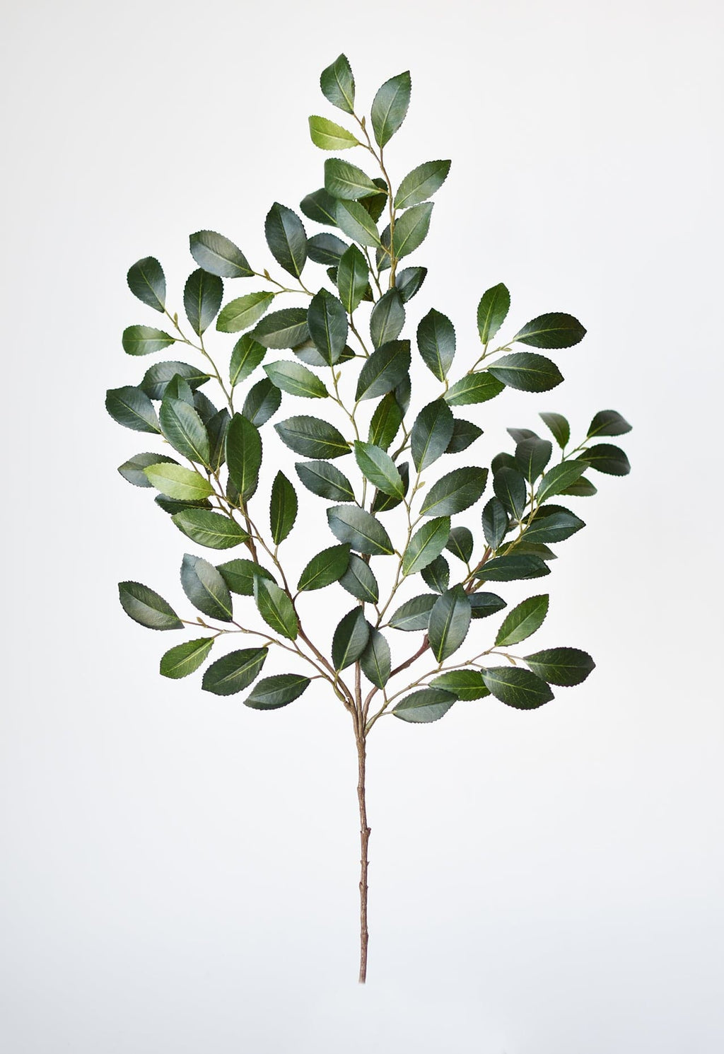26 Inch Thick Glossy Faux Ruscus Leaf Stem Elegant Greenery