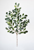 26 Inch Thick Glossy Faux Ruscus Leaf Stem Elegant Greenery