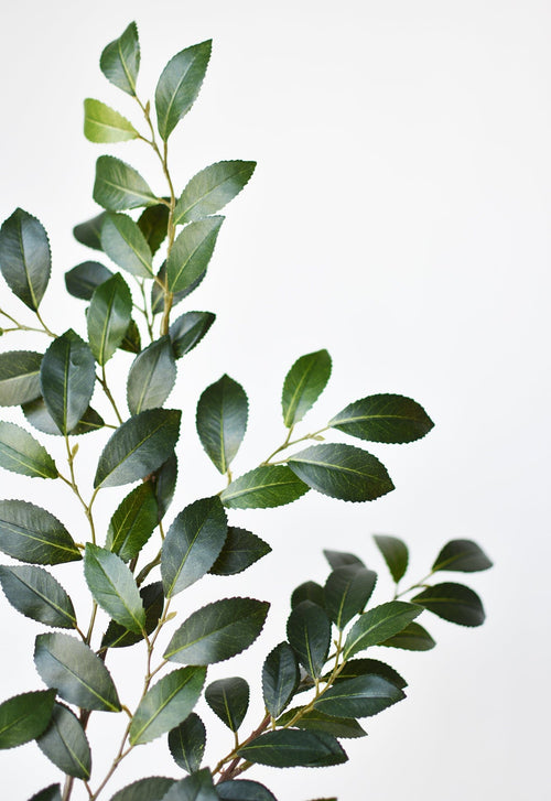 26 Inch Thick Glossy Faux Ruscus Leaf Stem Elegant Greenery
