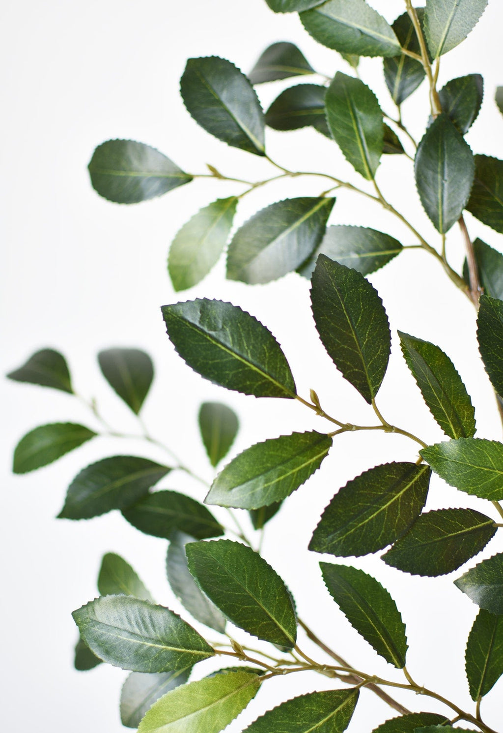 26 Inch Thick Glossy Faux Ruscus Leaf Stem Elegant Greenery