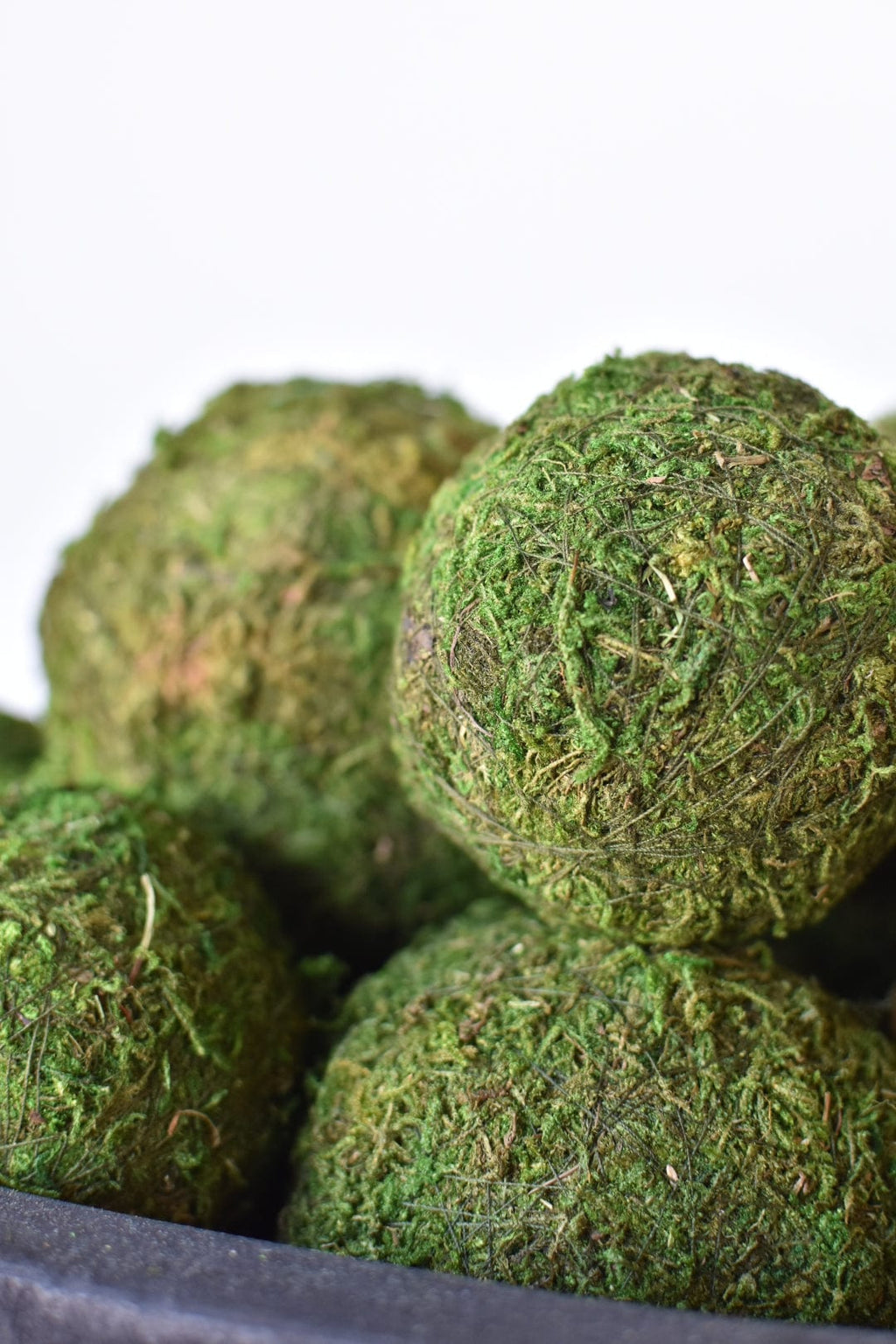 Aether Botanics Preserved Moss Balls Set Of Six Three Inch