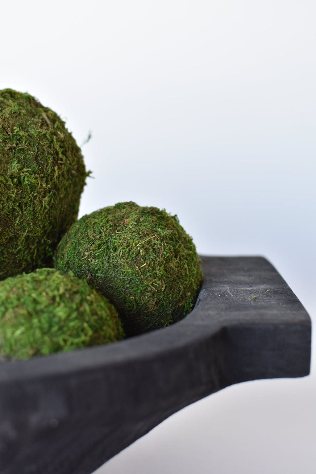 Aether Botanics Preserved Moss Balls Set Of Six Three Inch