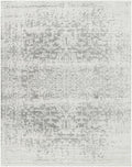 Lumina Rachel Area Rug Traditional Charcoal Gray Machine Woven