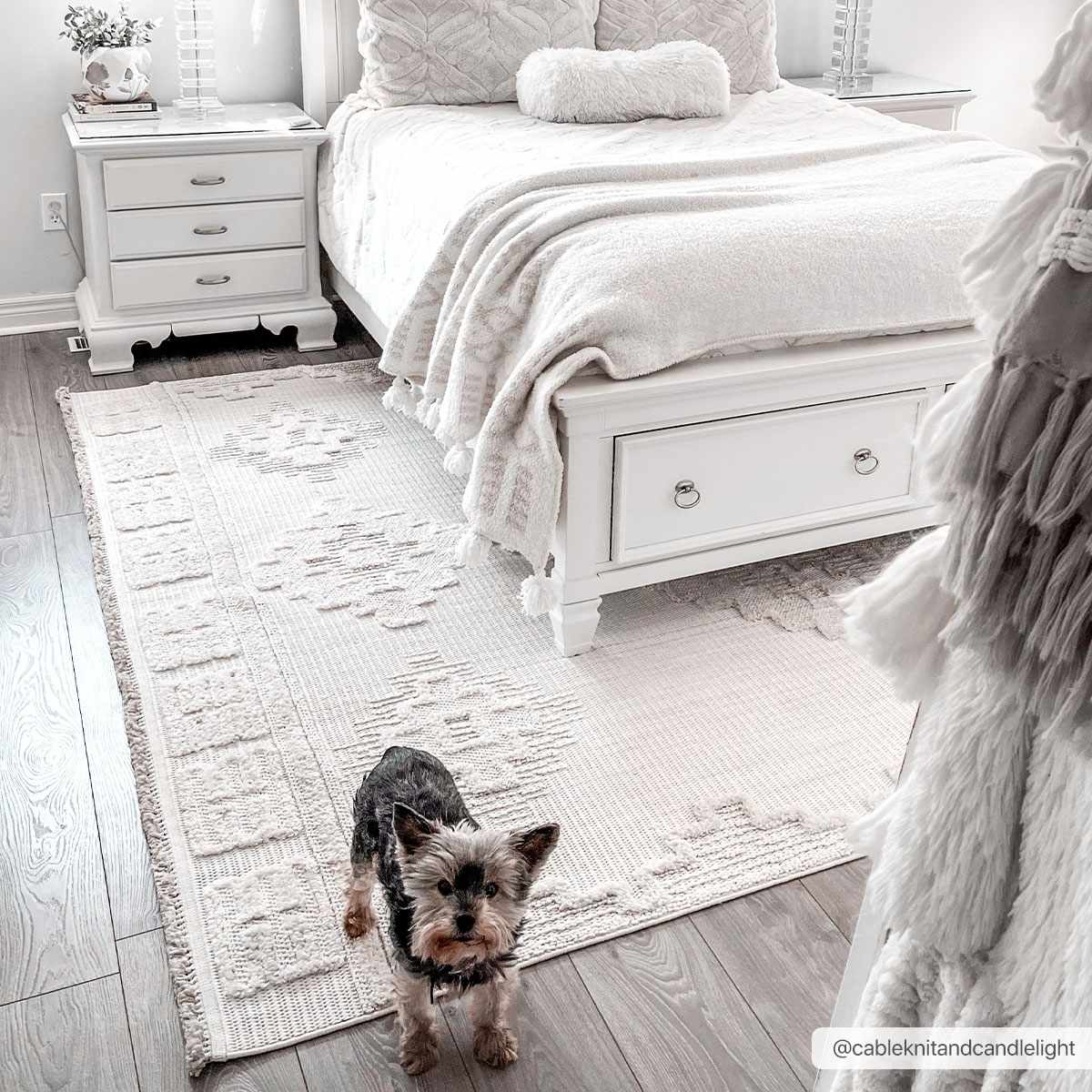 Rosales High Low Pile Elegant Soft Cream Handcrafted Rug