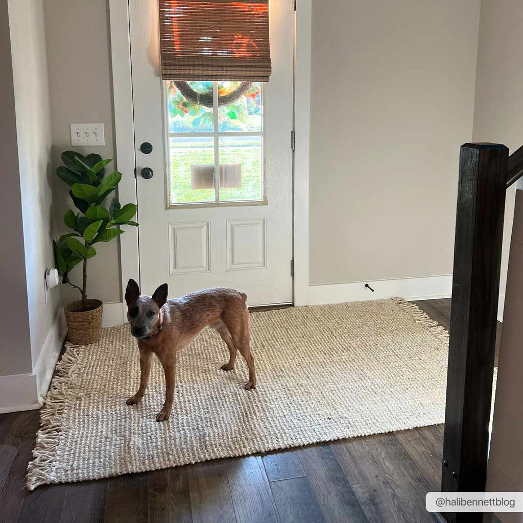 Senneterre Hand Woven Bleached Jute Rug With Tassel Fringe