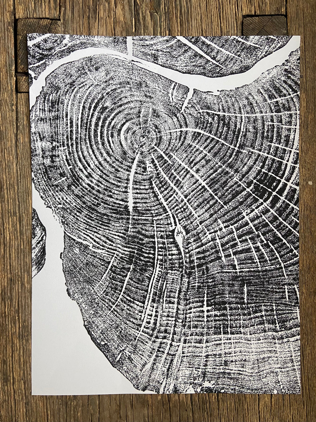 Ashwood Press Sugar Maple Print Hand Pressed 12x16 Limited Edition