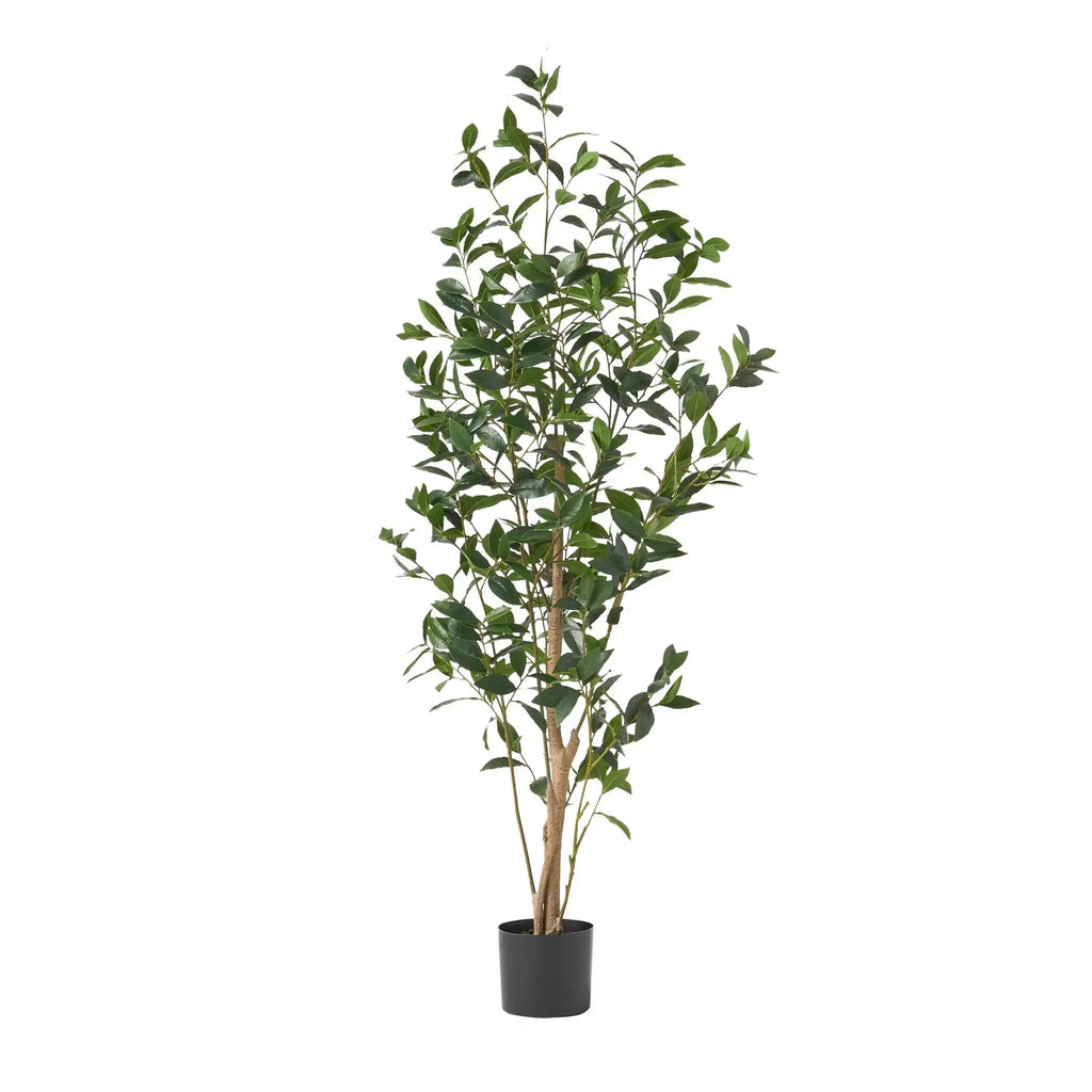 VerdantVista Artificial Laurel Tree With Lifelike Leaves