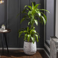 Janamuato Elegant Ivory Geometric Cement Outdoor Planter