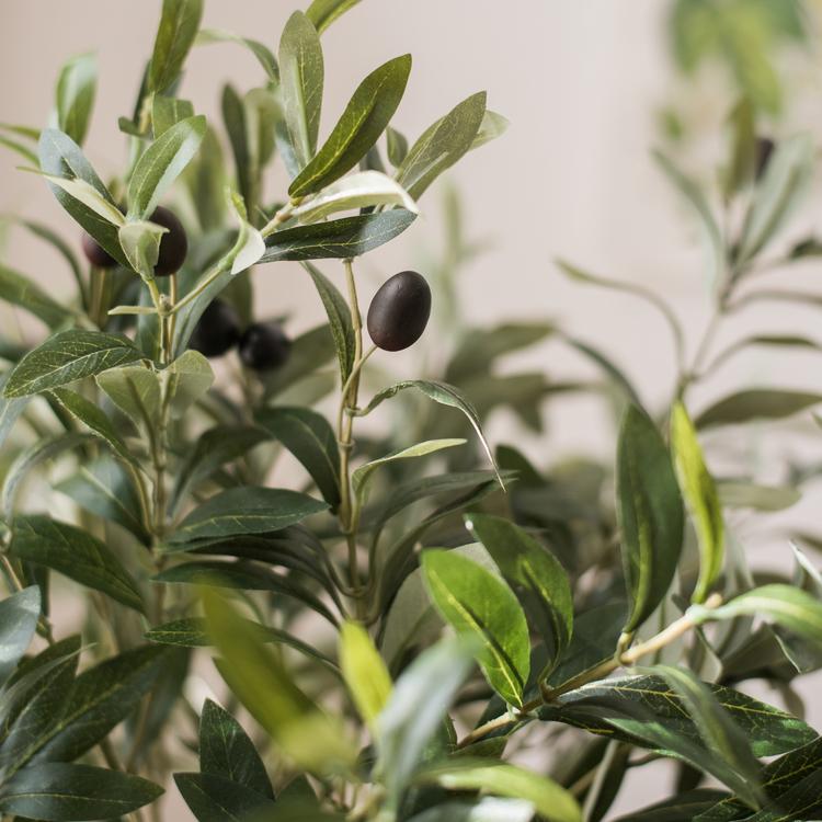Aura Botanicals Large Faux Olive Stem Handmade Silk 41 Inch Green