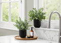 AuraHome 11 Inch Premium Artificial Eucalyptus Set Of 2