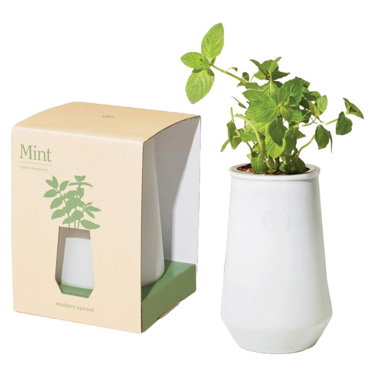 Modern Sprout Mint Tapered Glass Self Watering Hydro Grow Kit
