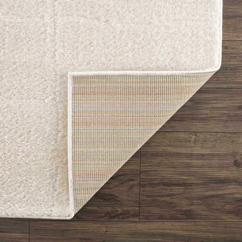 Koume Ivory High Pile Plush Area Rug For Living Room