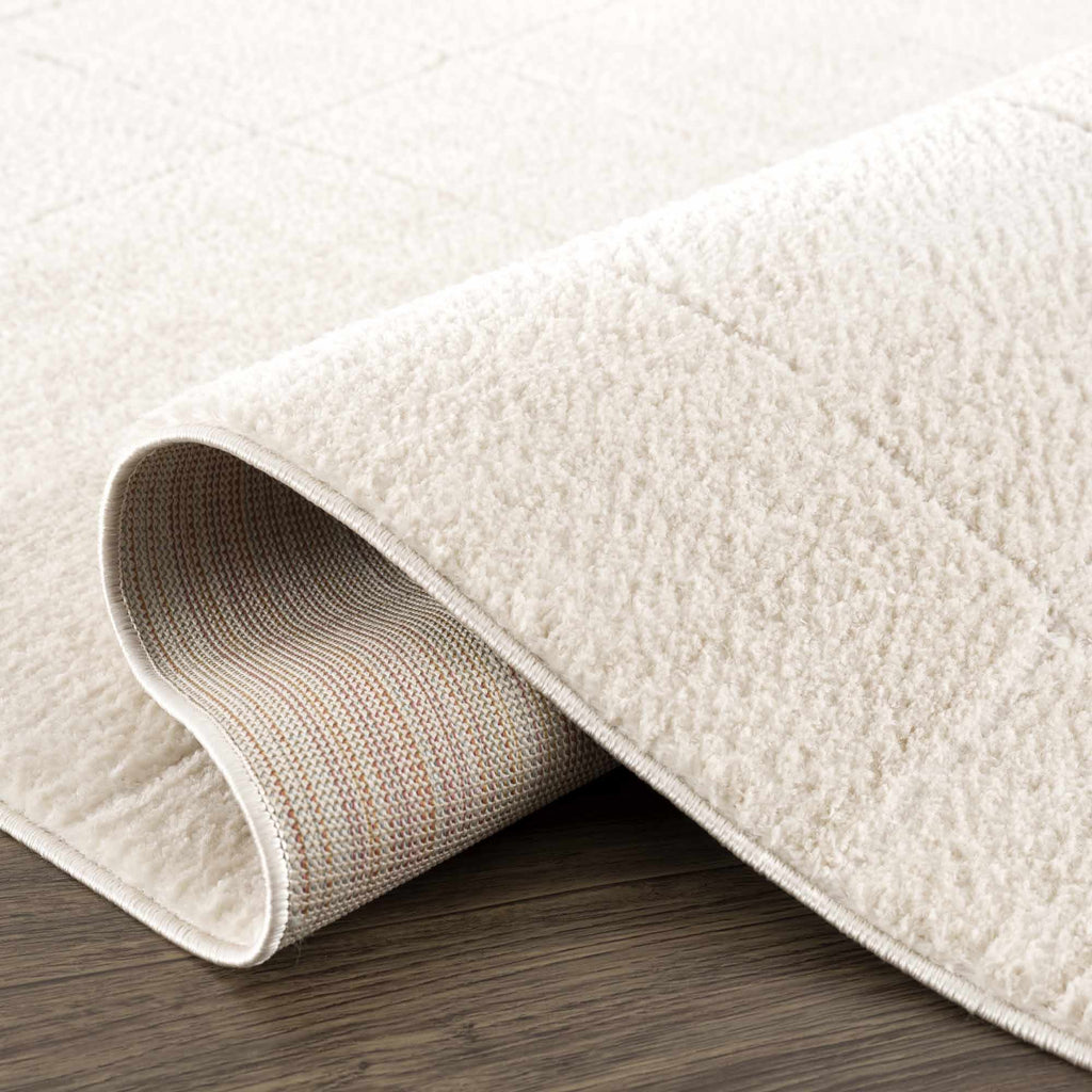 Koume Ivory High Pile Plush Area Rug For Living Room