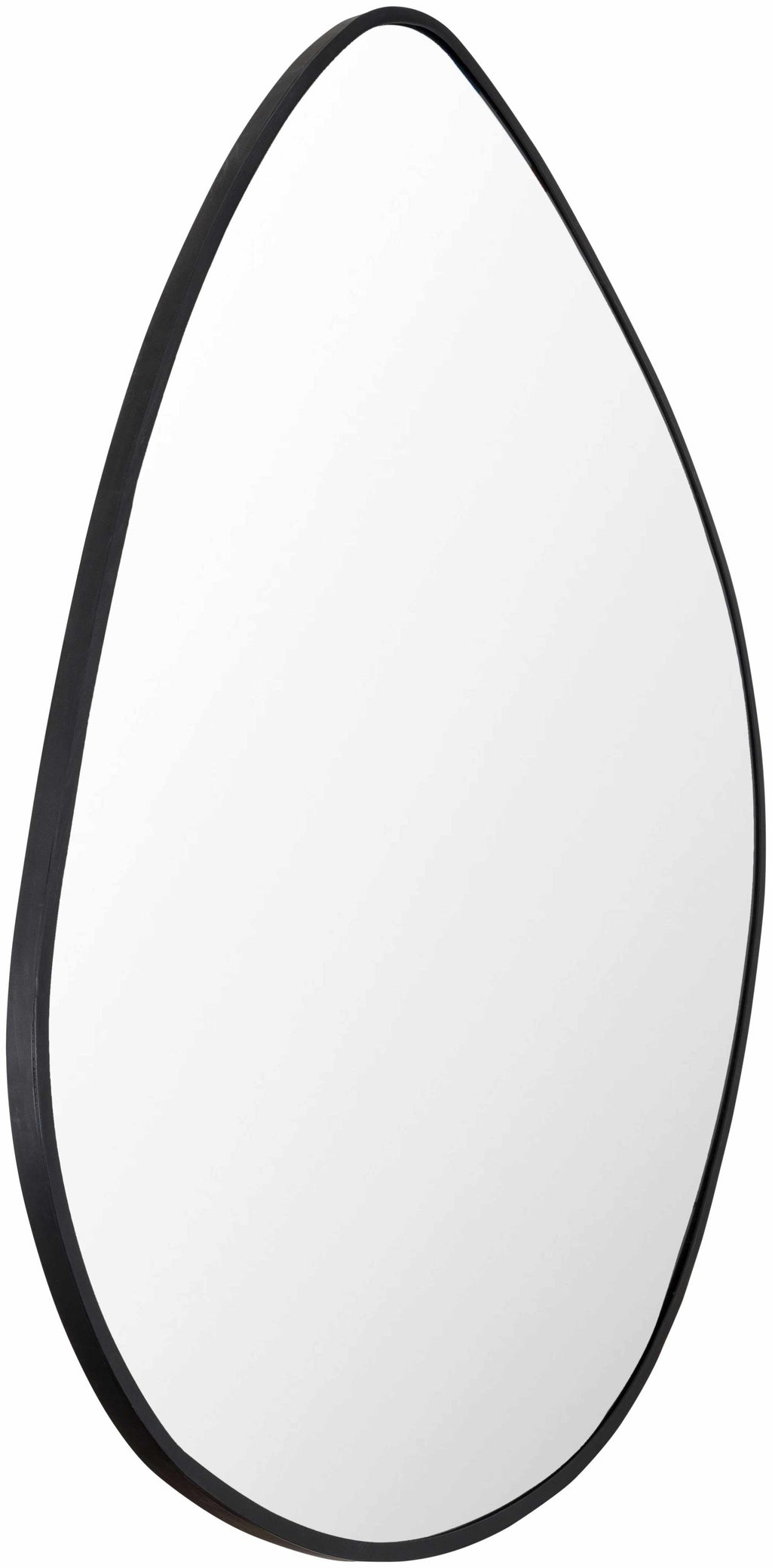Lochovice Distressed Black Iron Framed Wall Mirror