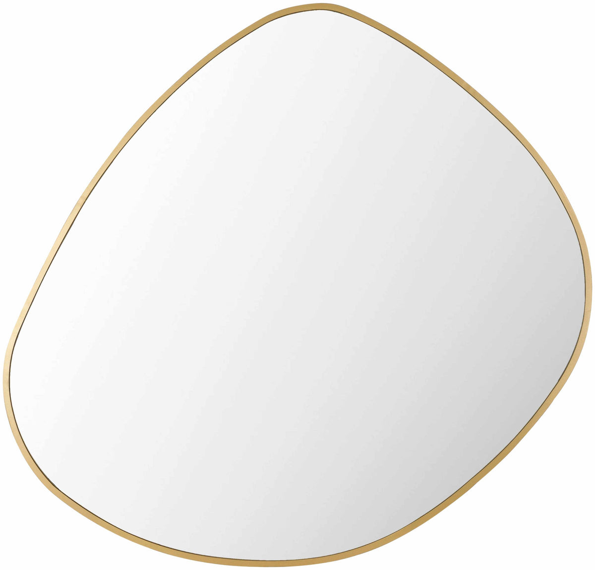 Lochovice Gold Iron Frame Distressed Wood Wall Mirror