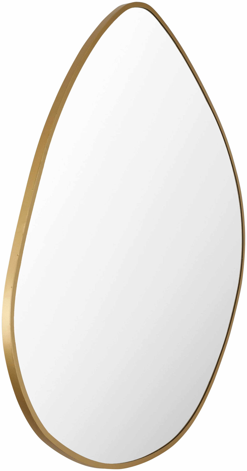 Lochovice Gold Iron Frame Distressed Wood Wall Mirror