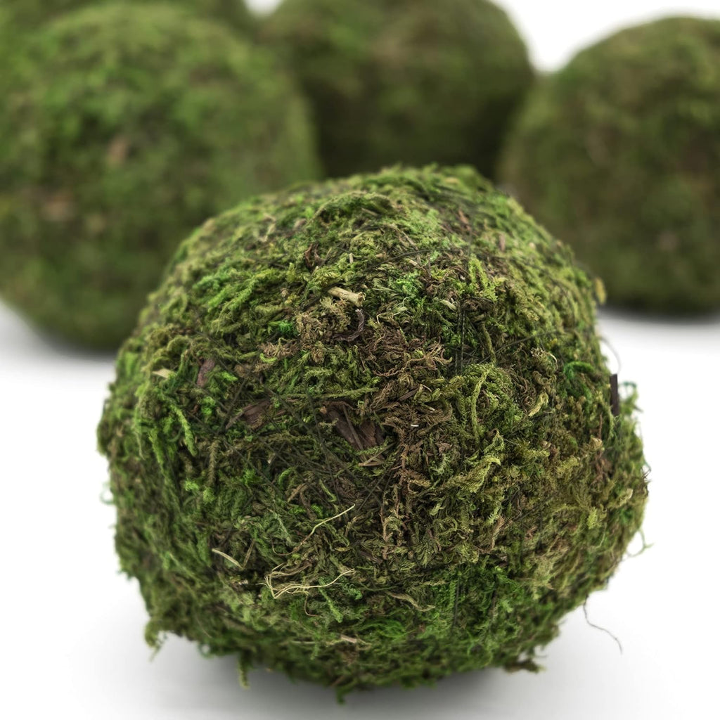 Aether Botanics Preserved Moss Balls Set Of Six Three Inch