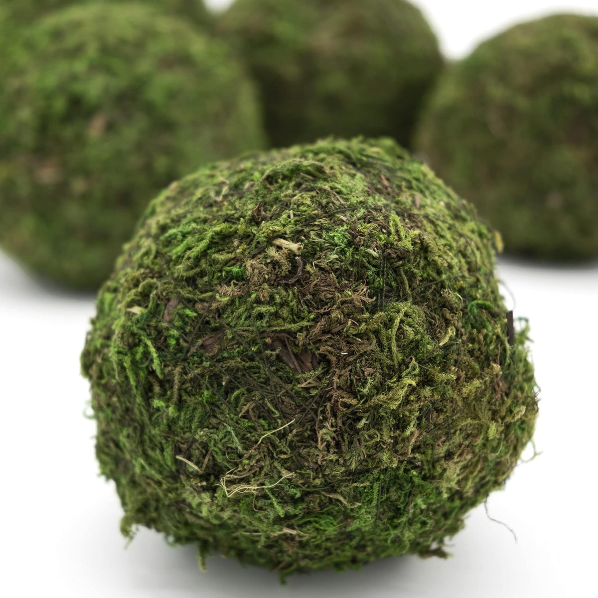 Aether Botanics Preserved Moss Balls Set Of Six Three Inch